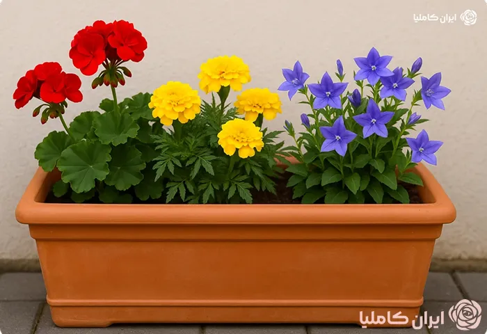 فلاورباکس های پلاستیکی